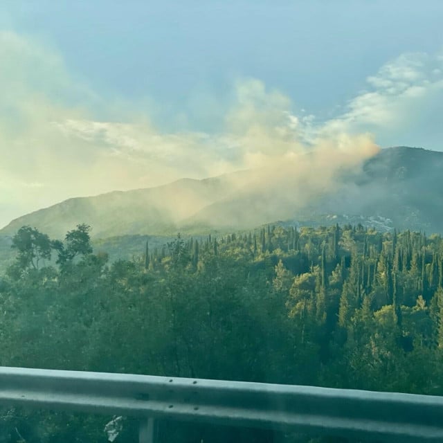 <p>Požar u Konavlima na granici Hrvatske i Crne Gore</p>