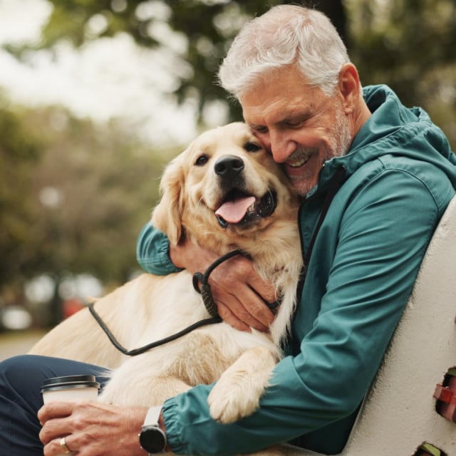 <p>Park, senior man and dog with hug for bonding, fitness break and companion in retirement outdoor. Male person, happy owner and care for golden retriever as animal, friendly pet and loyalty on bench</p>