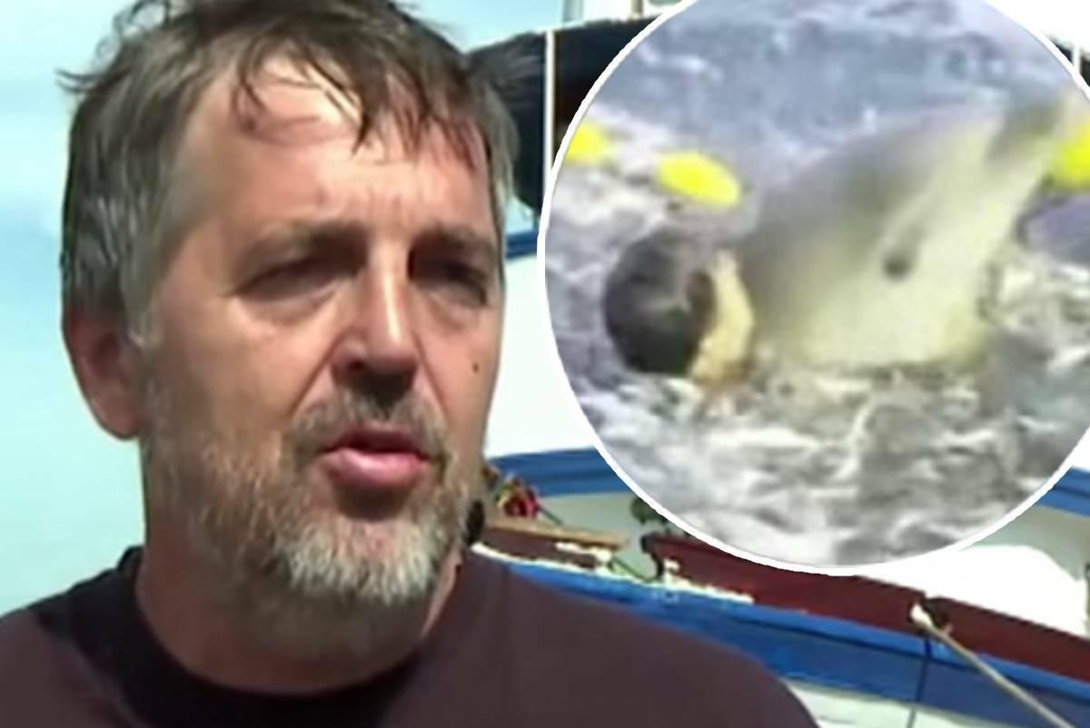 VIDEO Brački ribar koji je spasio dupina kod Primoštena: ‘On nije riba. Plakao je kao čovjek. A odmah je znao...‘