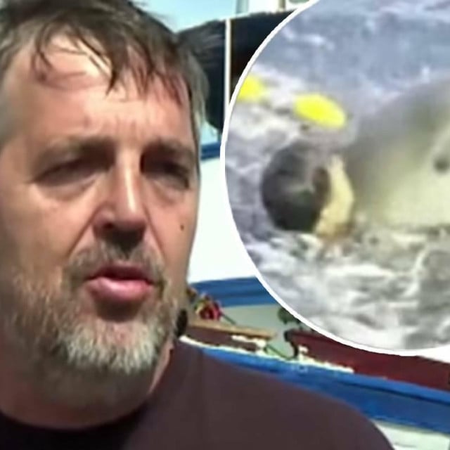 32047632