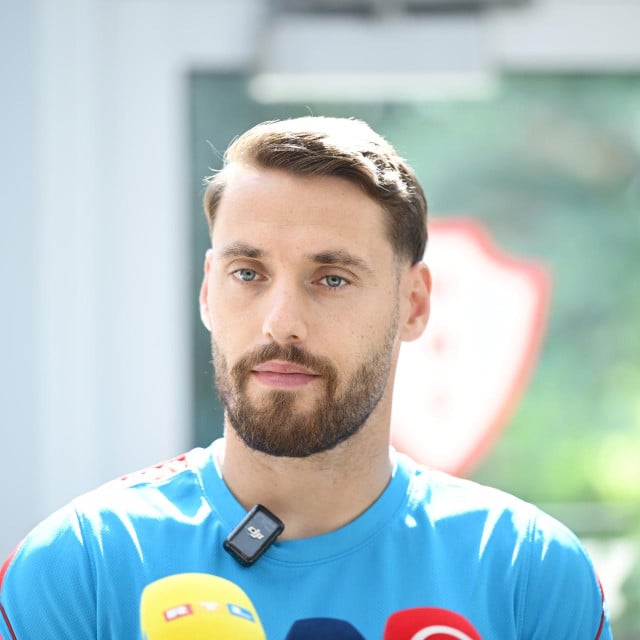 <p>Nikola Vla&scaron;ić</p>
