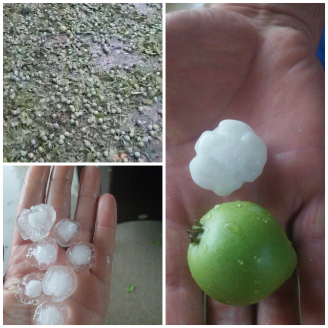 <p>Tuča poharala Cetinsku krajinu</p>