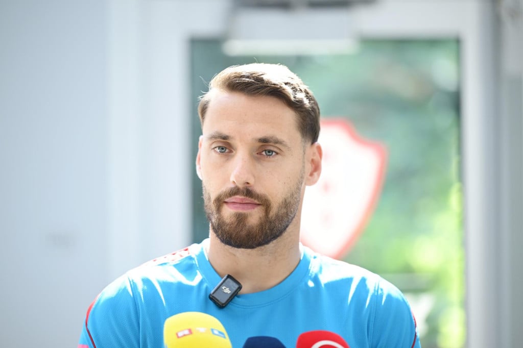 <p>Nikola Vla&scaron;ić</p>