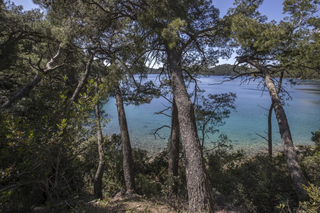 <p>Nacionalni park Mljet, borova suma uz veliko jezero</p>