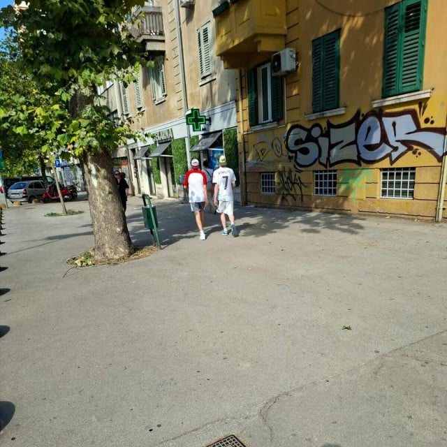 32067493