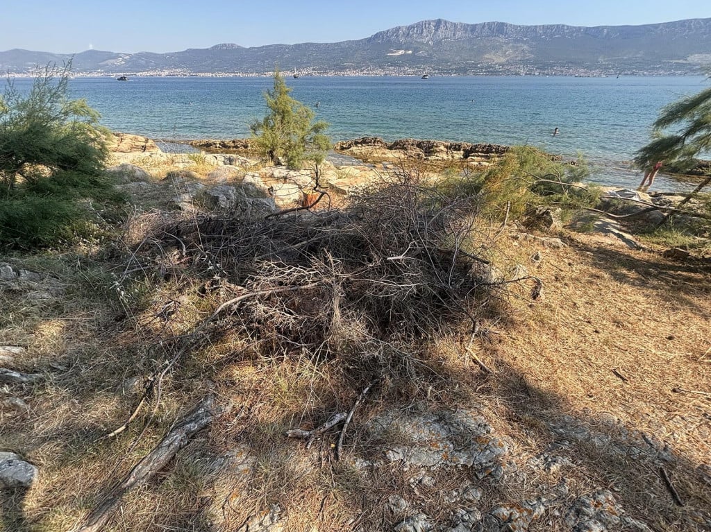 <p>Hrpe suhih grana na Marjanu</p>