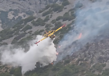 VIDEO Snimka s Pelješca oduševila ljude, dive se njihovoj vještini: ‘Kraljevi neba‘, ‘Anđeli‘, ‘Nema boljih na svijetu!‘
