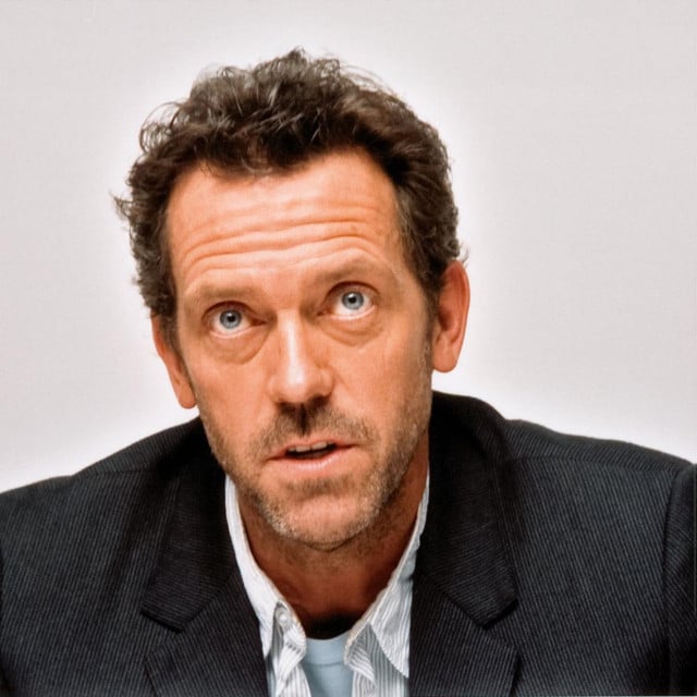 <p>Hugh Laurie</p>