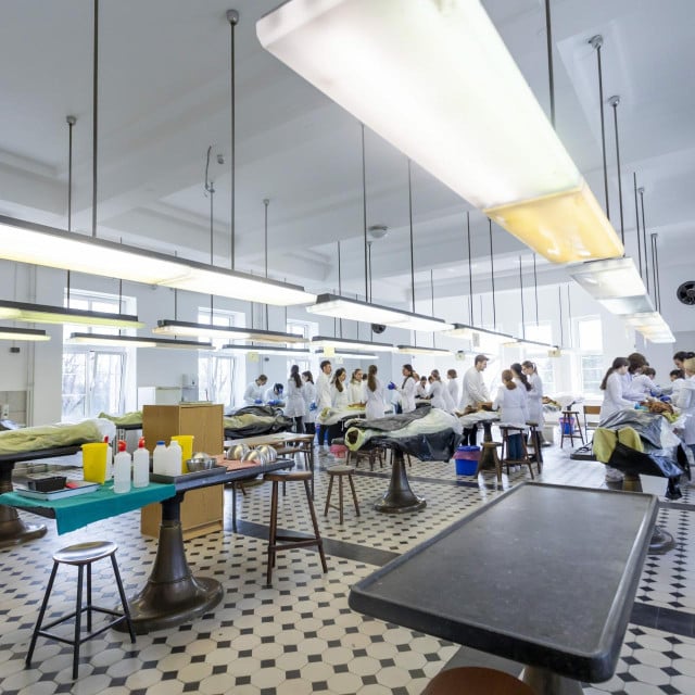 <p>Na fotografiji: studenti Medicinskog fakulteta u Zagrebu</p>