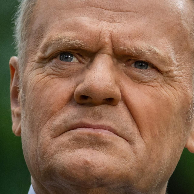 <p>Donald Tusk</p>