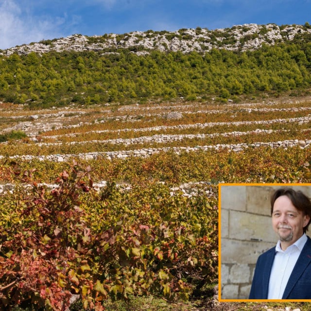 <p>Engleza u Dubrovniku očarava poluotok Pelje&scaron;ac</p>