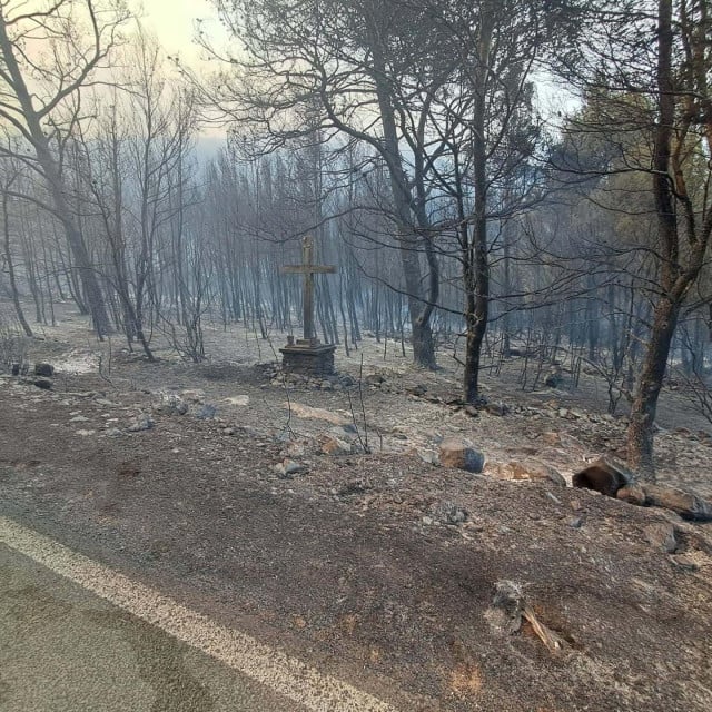32135350