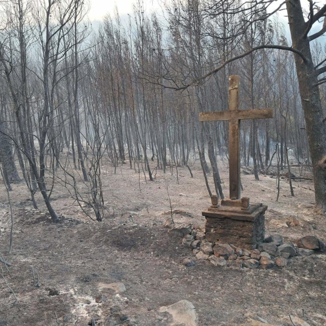 <p>Detalj s požari&scaron;ta na otoku Korčuli</p>