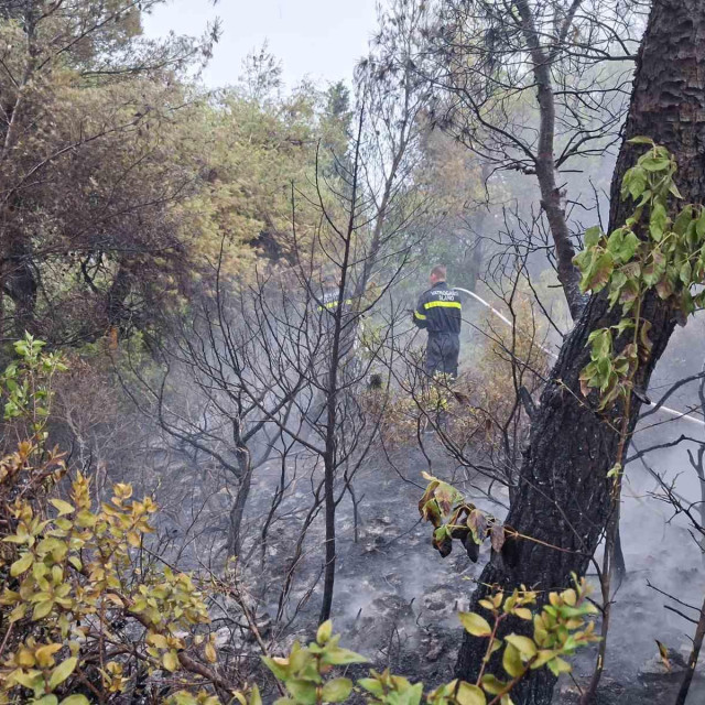 <p>Pripadnik DVD-a Slano na intervenciji u Dolima</p>
