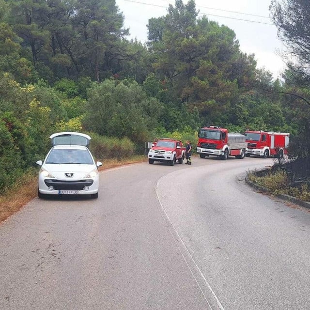 <p>Požar na otoku Korčuli ne posustaje</p>