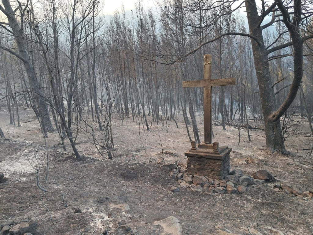 <p>Detalj s požari&scaron;ta na otoku Korčuli</p>