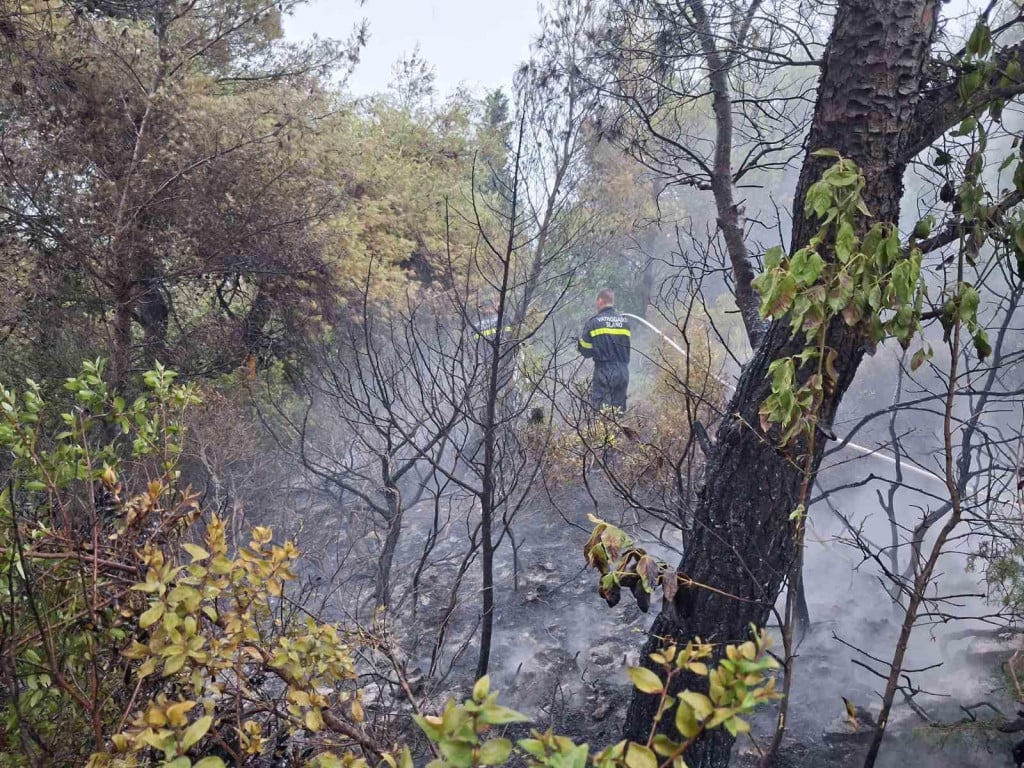 <p>Pripadnik DVD-a Slano na intervenciji u Dolima</p>