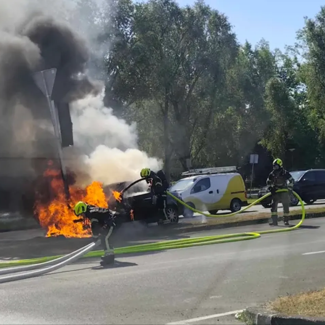 <p>Vatrogasci u ga&scaron;enju zapaljenog automobila i semafora<br>
&nbsp;</p>