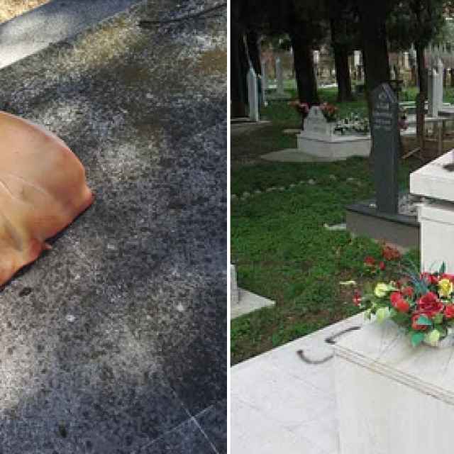 <p>Svinjska glava i nacistički simboli na groblju bo&scaron;njačkih žrtava u Mostaru</p>