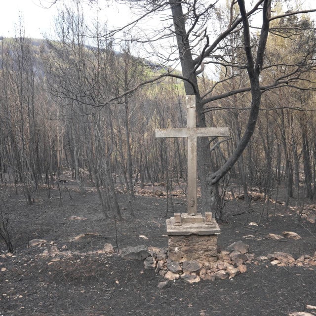 <p><br>
Posljedice velikog pozara na otoku Korculi<br>
&nbsp;</p>