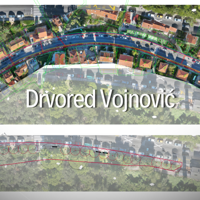 <p>Drvored Vojnović</p>