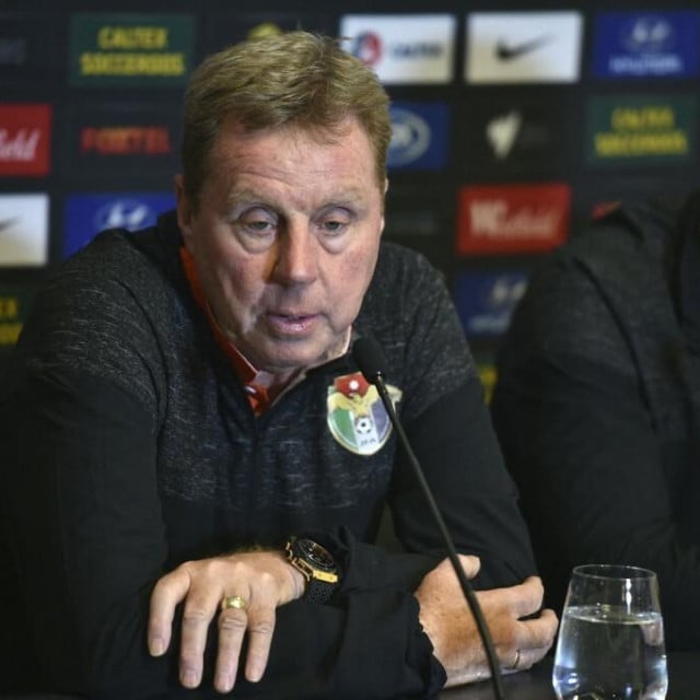 <p>Harry Redknapp</p>