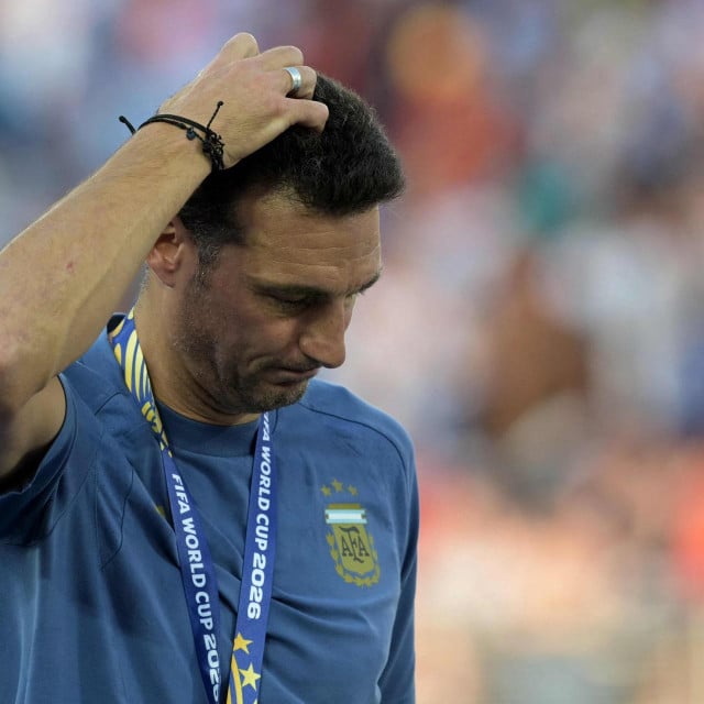 <p>Lionel Scaloni</p>
