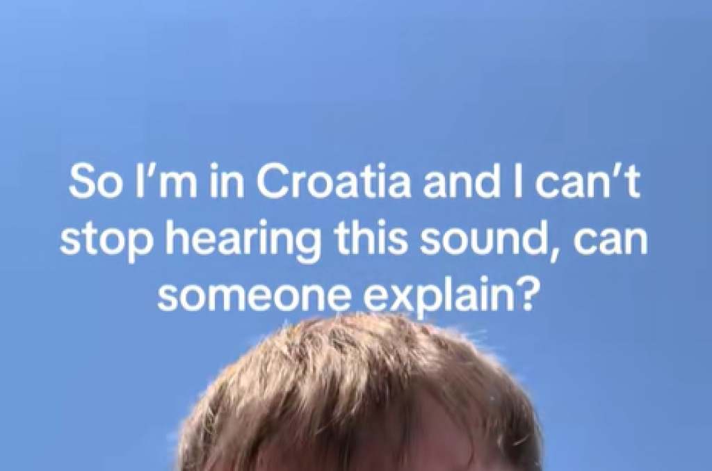<p>tIK tOK</p>