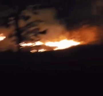 U utorak rano ujuto planuo požar kraj Dicma, vatra poharala golemi prostor