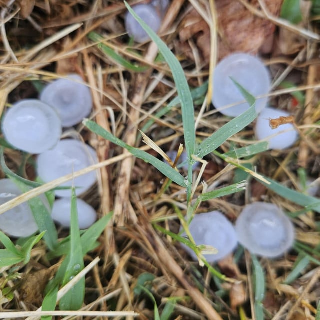 <p>Tuča u Sinju</p>