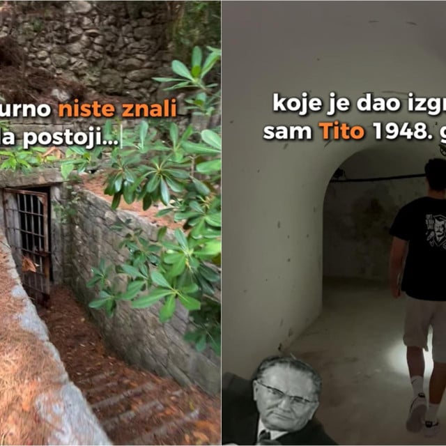 32184769