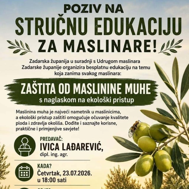 32185542