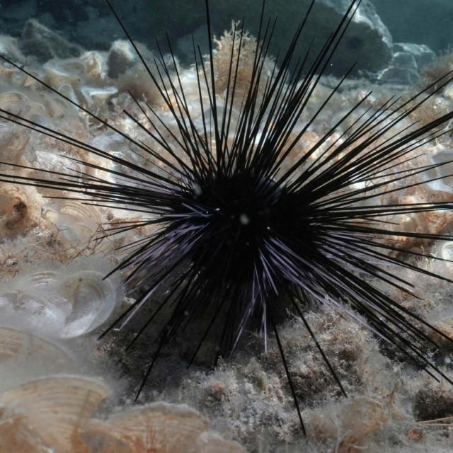 32189078