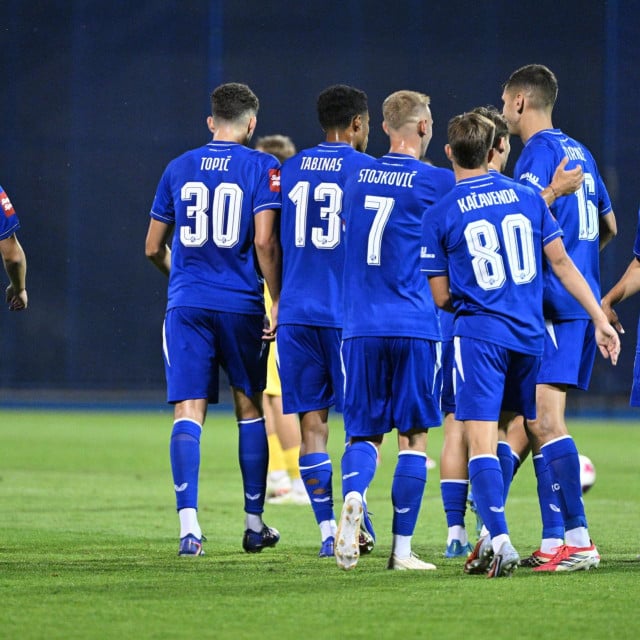 <p>Nogometa&scaron;i Dinama</p>