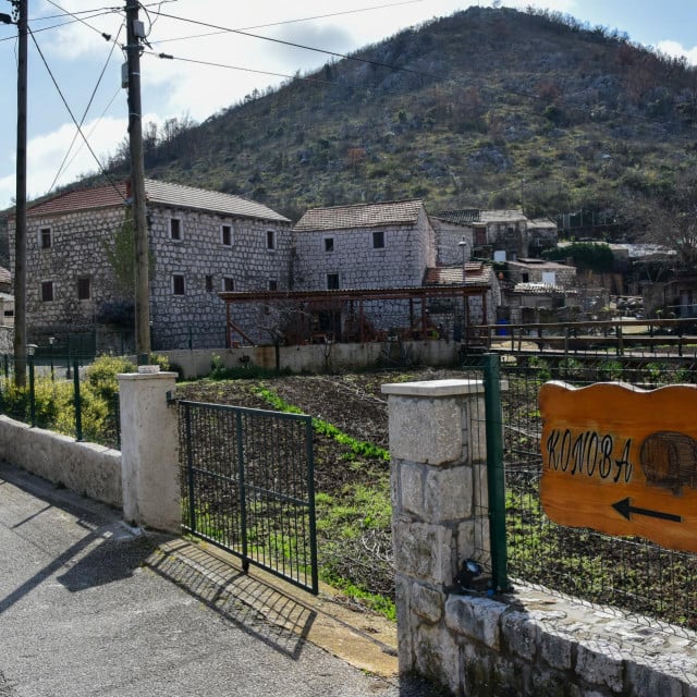<p>Osojnik</p>