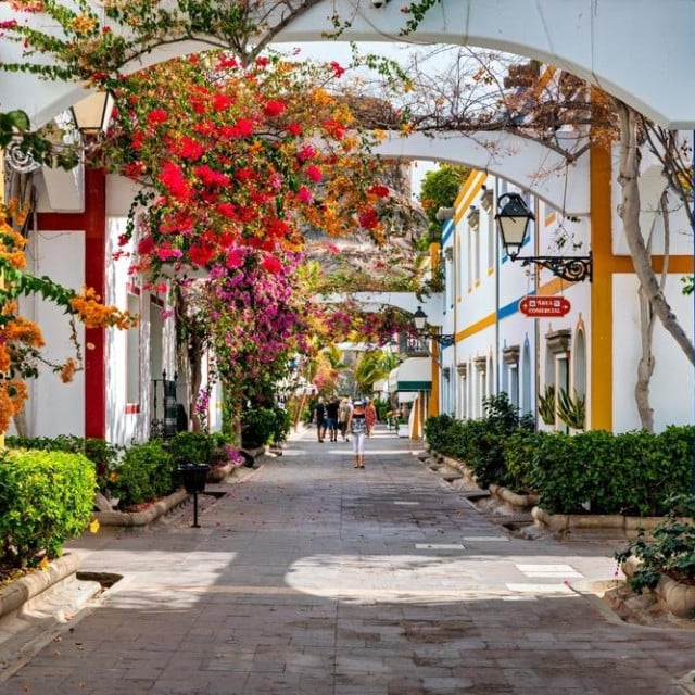 <p>Gran Canaria</p>