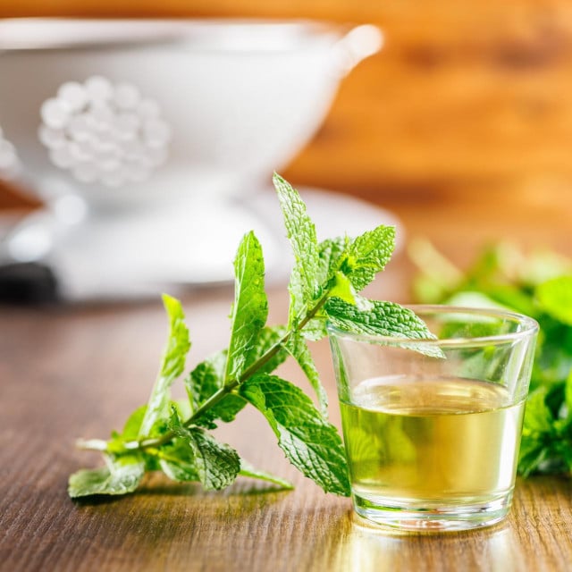 <p>Sweet mint syrup and mint leaves on the wooden table.</p>
