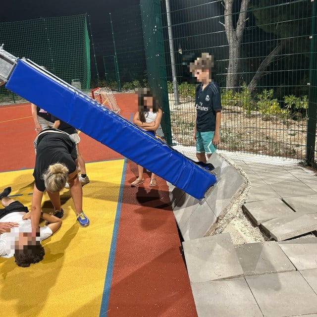 <p>Ko&scaron; u Splitskoj</p>