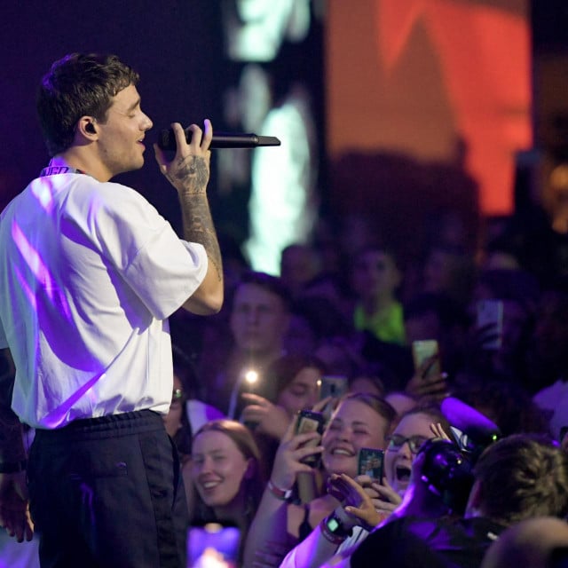 <p>Liam Payne</p>
