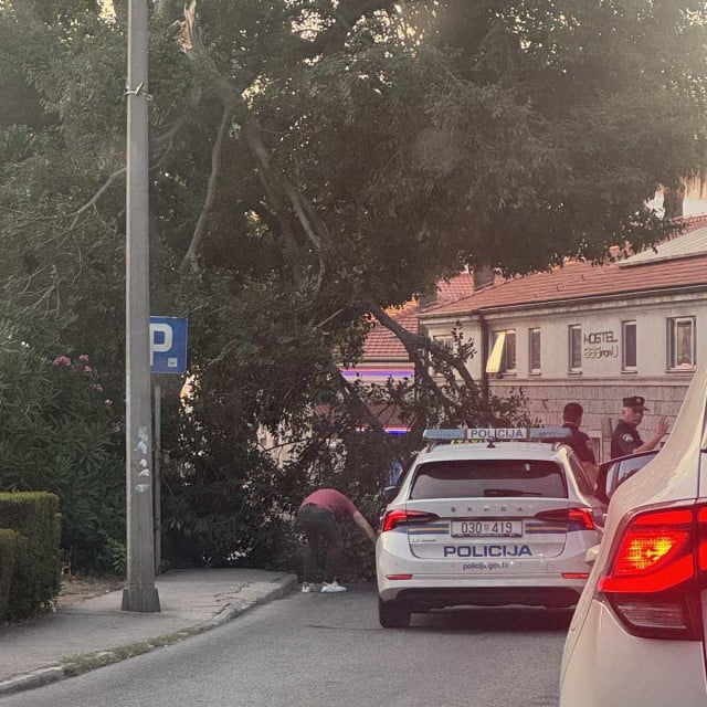 <p>U Vukovarskoj ulici grana pala na cestu i osobno vozilo</p>