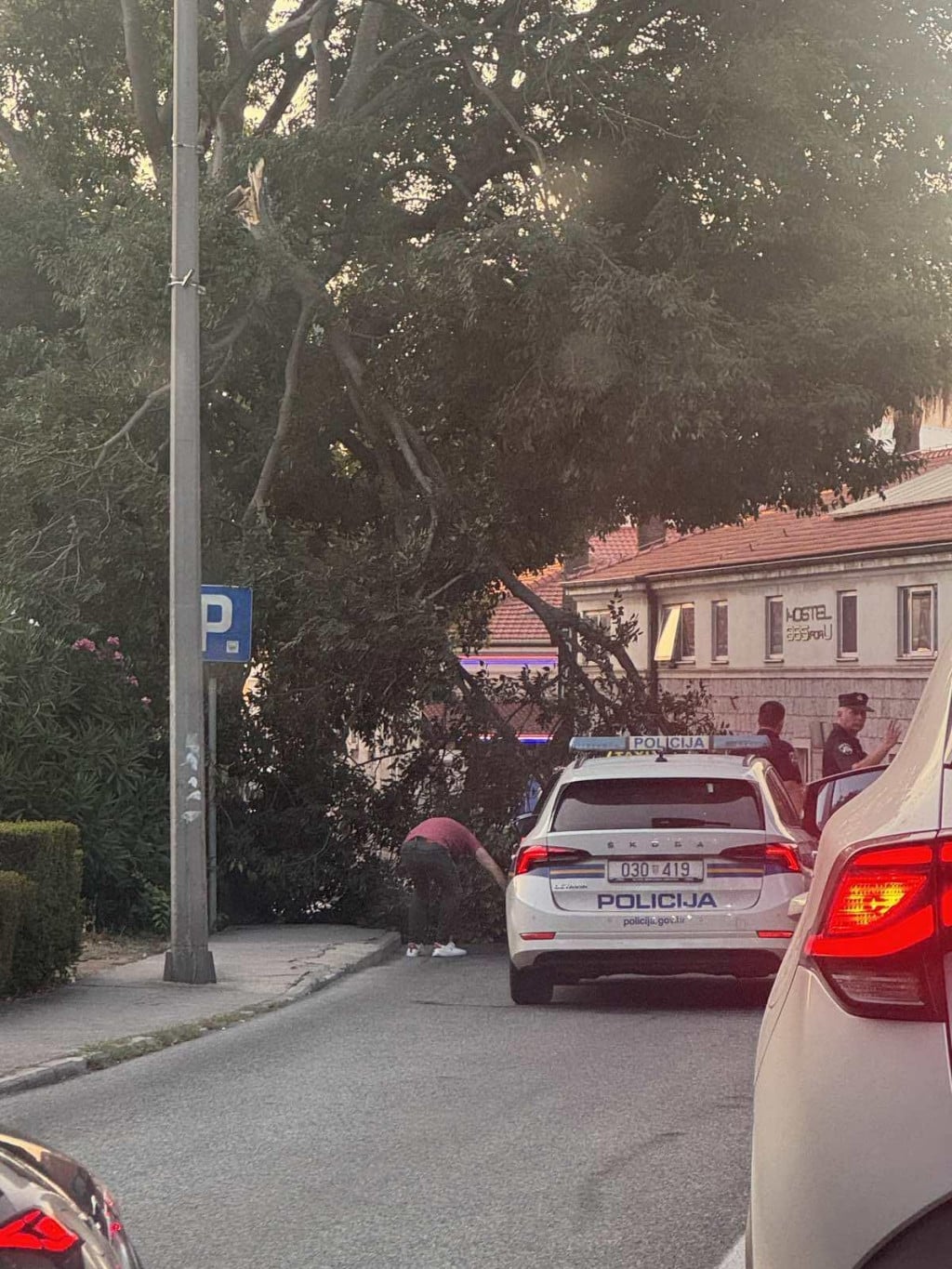 <p>U Vukovarskoj ulici grana pala na cestu i osobno vozilo</p>