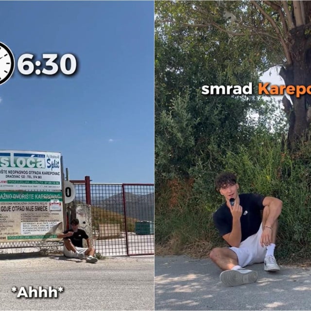 32263981