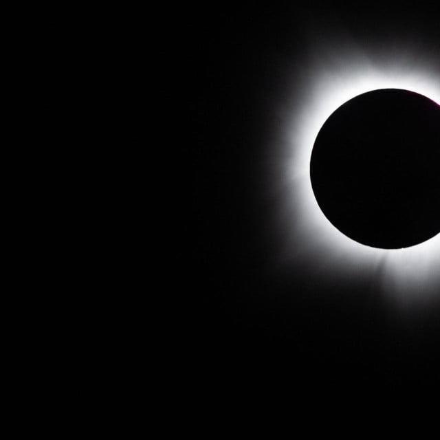 32256706