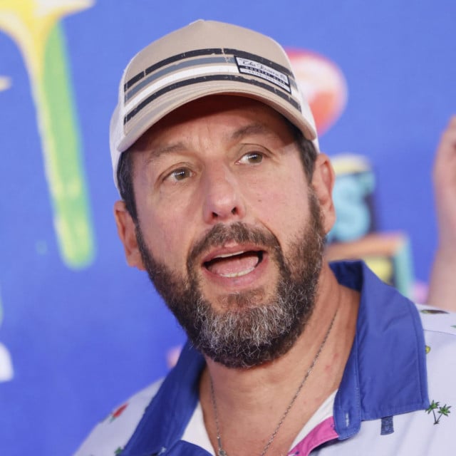 <p>Adam Sandler</p>