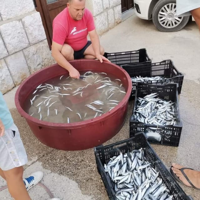 <p>Pripremanje ribe za fe&scaron;tu</p>