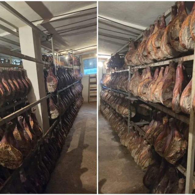 <p>Ilegalna pr&scaron;utana kod Drni&scaron;a</p>