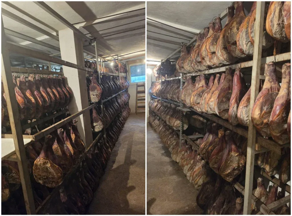 <p>Ilegalna pr&scaron;utana kod Drni&scaron;a</p>