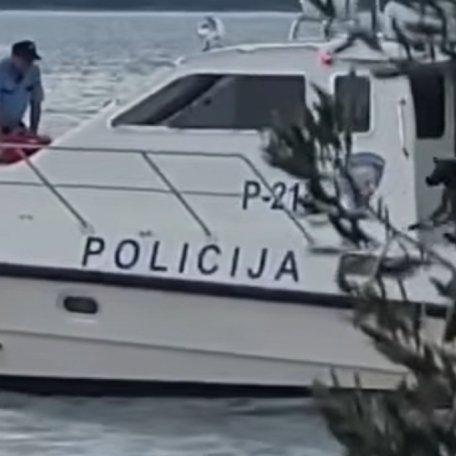 <p>Trenutak kada policajac baca psa u more</p>