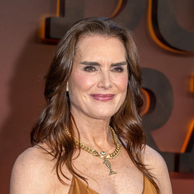 <p>Brooke Shields</p>