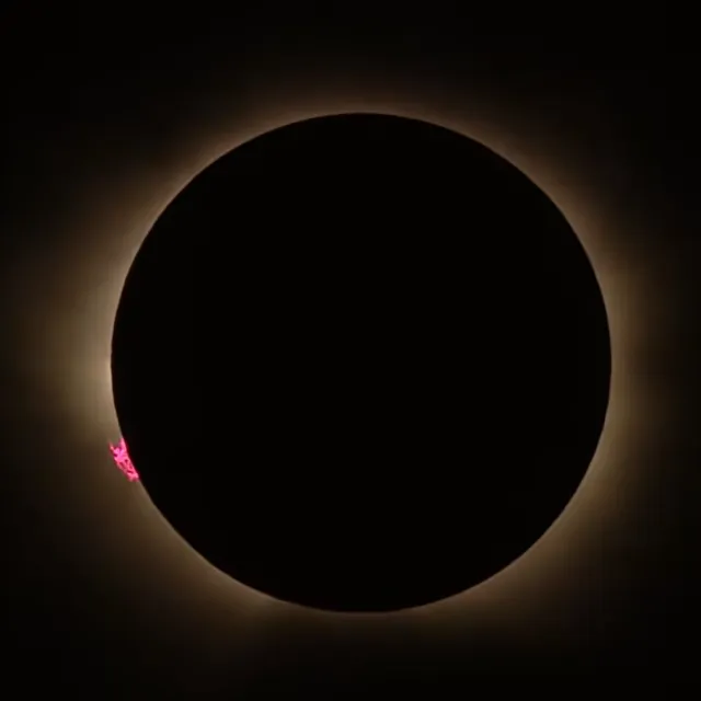 32291061